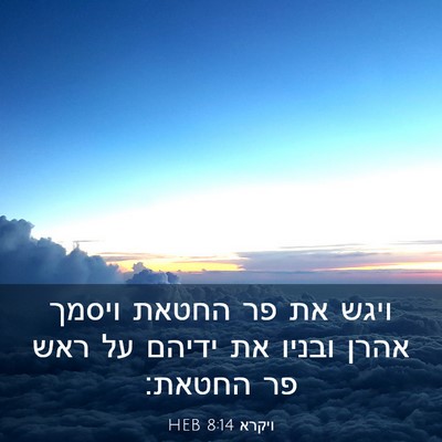 Picture 03 - ויקרא 8:14 HEB - ויגש את פר החטאת ויסמך אהרן - Bible Verse Picture