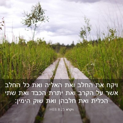 Picture 03 - ויקרא 8:25 HEB - ויקח את החלב ואת האליה ואת - Bible Verse Picture
