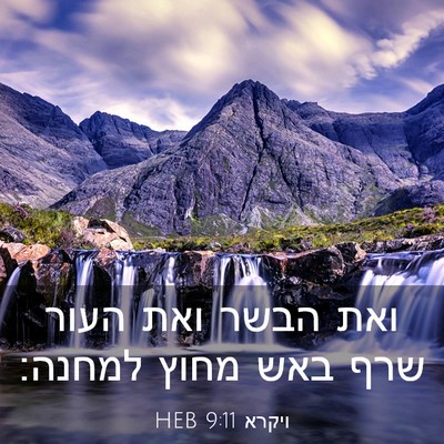 Picture 03 - ויקרא 9:11 HEB - ואת הבשר ואת העור שרף באש - Bible Verse Picture