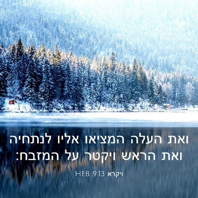 Picture 03 - ויקרא 9:13 HEB - ואת העלה המציאו אליו - Bible Verse Picture