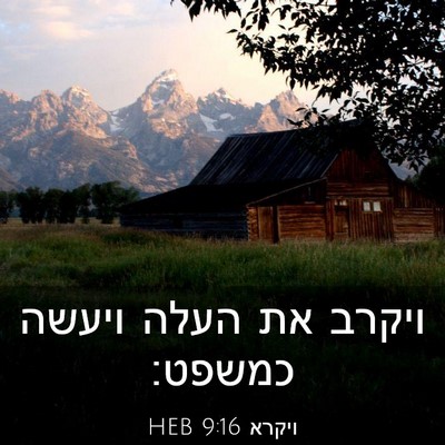 Picture 03 - ויקרא 9:16 HEB - ויקרב את העלה ויעשה - Bible Verse Picture