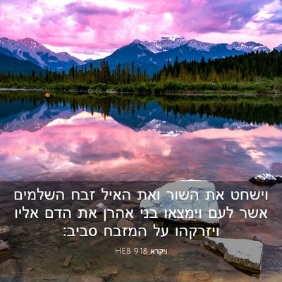 Picture 03 - ויקרא 9:18 HEB - וישחט את השור ואת האיל זבח - Bible Verse Picture