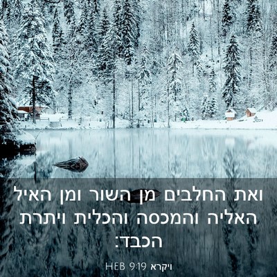 Picture 03 - ויקרא 9:19 HEB - ואת החלבים מן השור ומן האיל - Bible Verse Picture