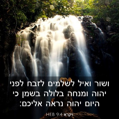 Picture 03 - ויקרא 9:4 HEB - ושור ואיל לשלמים לזבח לפני - Bible Verse Picture