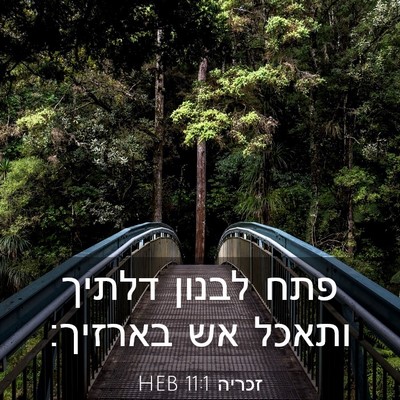 Picture 03 - זכריה 11:1 HEB - פתח לבנון דלתיך ותאכל אש - Bible Verse Picture