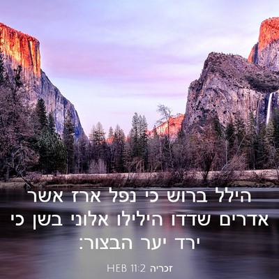 Picture 03 - זכריה 11:2 HEB - הילל ברוש כי נפל ארז אשר - Bible Verse Picture