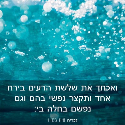 Picture 03 - זכריה 11:8 HEB - ואכחד את שלשת הרעים בירח - Bible Verse Picture