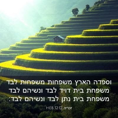 Picture 03 - זכריה 12:12 HEB - וספדה הארץ משפחות משפחות - Bible Verse Picture