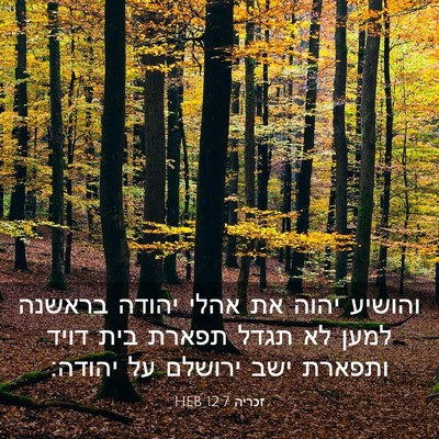 Picture 03 - זכריה 12:7 HEB - והושיע יהוה את אהלי יהודה - Bible Verse Picture