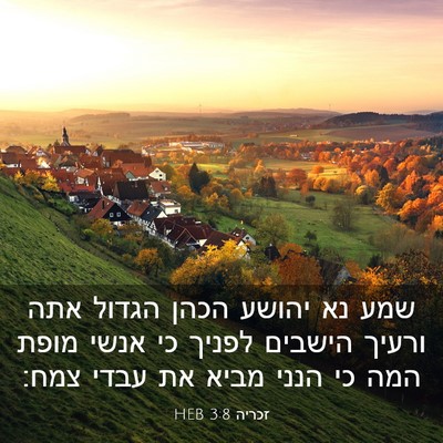 Picture 03 - זכריה 3:8 HEB - שמע נא יהושע הכהן הגדול אתה - Bible Verse Picture