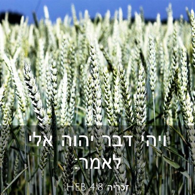 Picture 03 - זכריה 4:8 HEB - ויהי דבר יהוה אלי - Bible Verse Picture