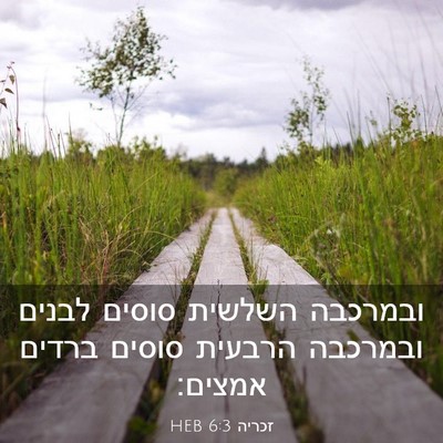 Picture 03 - זכריה 6:3 HEB - ובמרכבה השלשית סוסים לבנים - Bible Verse Picture