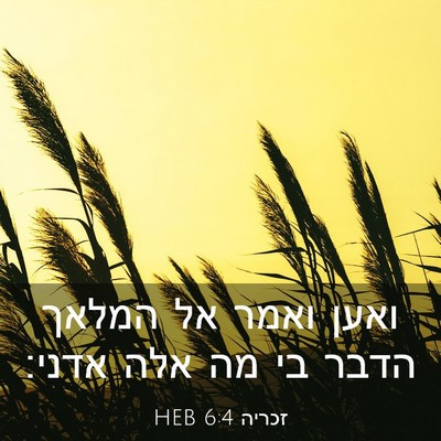 Picture 03 - זכריה 6:4 HEB - ואען ואמר אל המלאך הדבר בי - Bible Verse Picture