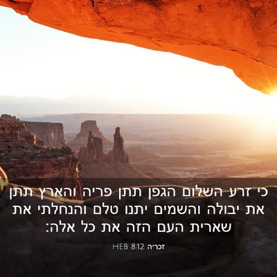 Picture 03 - זכריה 8:12 HEB - כי זרע השלום הגפן תתן פריה - Bible Verse Picture