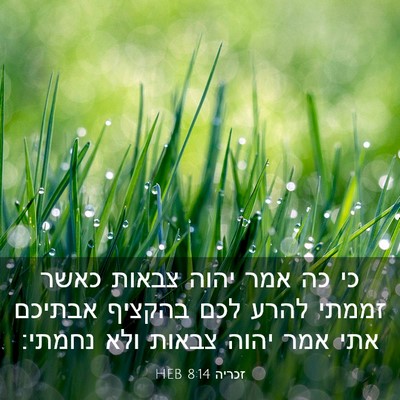 Picture 03 - זכריה 8:14 HEB - כי כה אמר יהוה צבאות כאשר - Bible Verse Picture