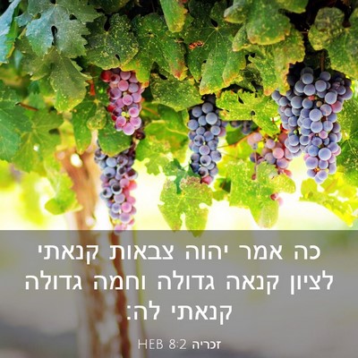Picture 03 - זכריה 8:2 HEB - כה אמר יהוה צבאות קנאתי - Bible Verse Picture