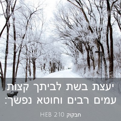 Picture 03 - חבקוק 2:10 HEB - יעצת בשת לביתך קצות עמים - Bible Verse Picture