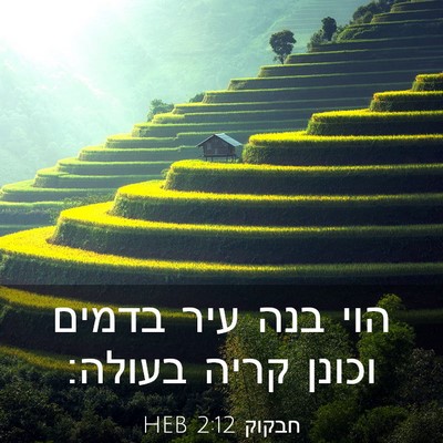 Picture 03 - חבקוק 2:12 HEB - הוי בנה עיר בדמים וכונן - Bible Verse Picture