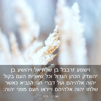 Picture 03 - חגי 1:12 HEB - וישמע זרבבל בן שלתיאל - Bible Verse Picture