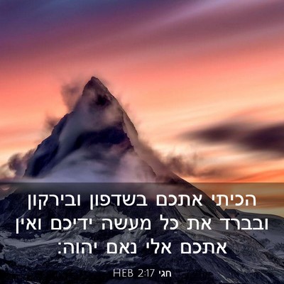 Picture 03 - חגי 2:17 HEB - הכיתי אתכם בשדפון ובירקון - Bible Verse Picture