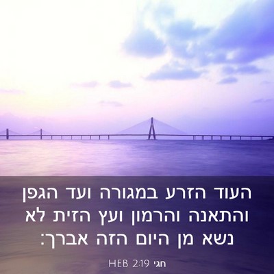 Picture 03 - חגי 2:19 HEB - העוד הזרע במגורה ועד הגפן - Bible Verse Picture