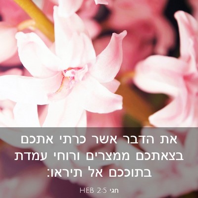 Picture 03 - חגי 2:5 HEB - את הדבר אשר כרתי אתכם - Bible Verse Picture