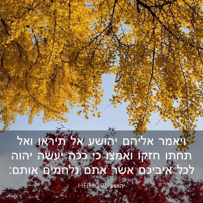 Picture 03 - יהושע 10:25 HEB - ויאמר אליהם יהושע אל תיראו - Bible Verse Picture
