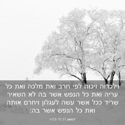 Picture 03 - יהושע 10:37 HEB - וילכדוה ויכוה לפי חרב ואת - Bible Verse Picture