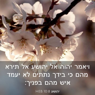 Picture 03 - יהושע 10:8 HEB - ויאמר יהוה אל יהושע אל תירא - Bible Verse Picture