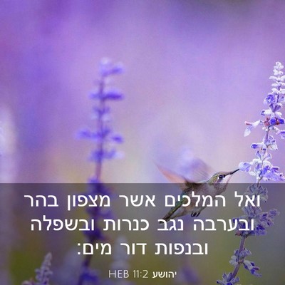 Picture 03 - יהושע 11:2 HEB - ואל המלכים אשר מצפון בהר - Bible Verse Picture