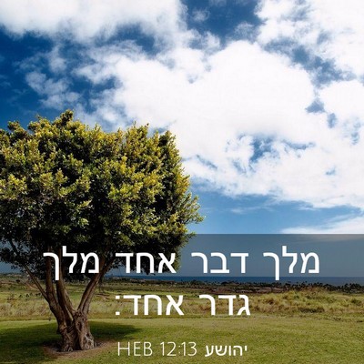 Picture 03 - יהושע 12:13 HEB - מלך דבר אחד מלך גדר - Bible Verse Picture