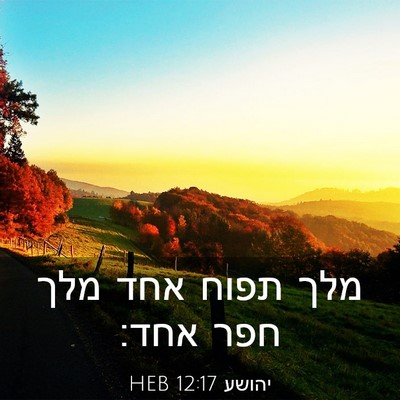 Picture 03 - יהושע 12:17 HEB - מלך תפוח אחד מלך חפר - Bible Verse Picture