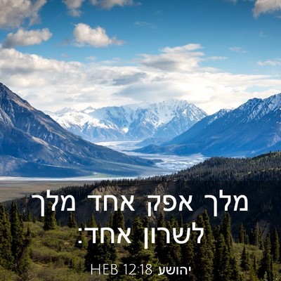 Picture 03 - יהושע 12:18 HEB - מלך אפק אחד מלך לשרון - Bible Verse Picture