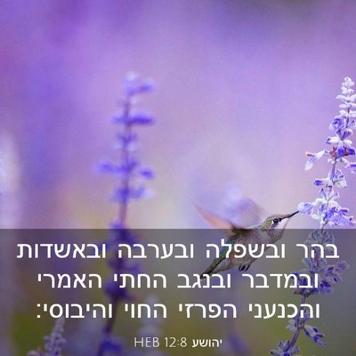 Picture 03 - יהושע 12:8 HEB - בהר ובשפלה ובערבה ובאשדות - Bible Verse Picture