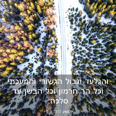 Picture 03 - יהושע 13:11 HEB - והגלעד וגבול הגשורי - Bible Verse Picture