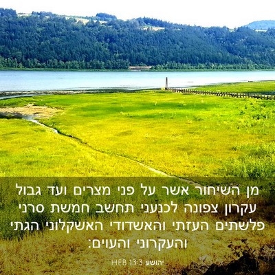 Picture 03 - יהושע 13:3 HEB - מן השיחור אשר על פני מצרים - Bible Verse Picture