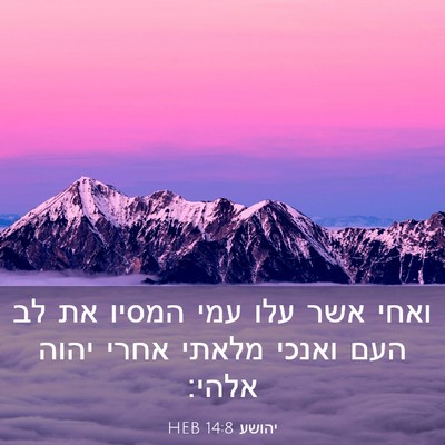 Picture 03 - יהושע 14:8 HEB - ואחי אשר עלו עמי המסיו את - Bible Verse Picture