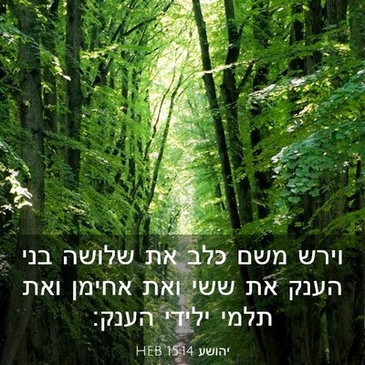 Picture 03 - יהושע 15:14 HEB - וירש משם כלב את שלושה בני - Bible Verse Picture