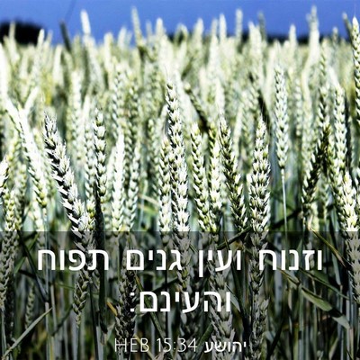 Picture 03 - יהושע 15:34 HEB - וזנוח ועין גנים תפוח - Bible Verse Picture