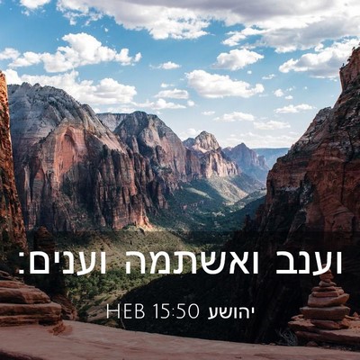 Picture 03 - יהושע 15:50 HEB - וענב ואשתמה - Bible Verse Picture