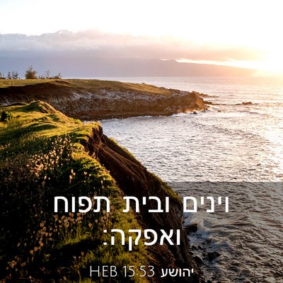 Picture 03 - יהושע 15:53 HEB - וינים ובית תפוח - Bible Verse Picture