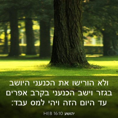 Picture 03 - יהושע 16:10 HEB - ולא הורישו את הכנעני היושב - Bible Verse Picture
