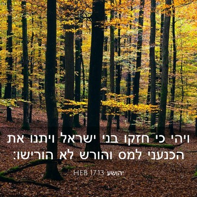 Picture 03 - יהושע 17:13 HEB - ויהי כי חזקו בני ישראל - Bible Verse Picture