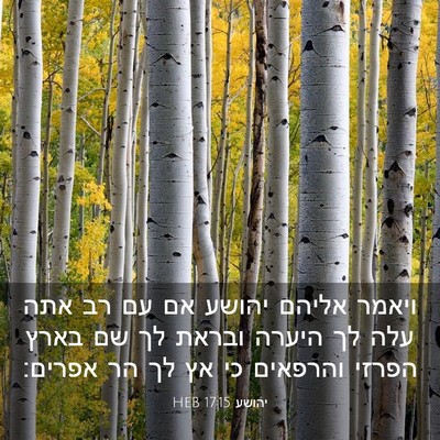 Picture 03 - יהושע 17:15 HEB - ויאמר אליהם יהושע אם עם רב - Bible Verse Picture