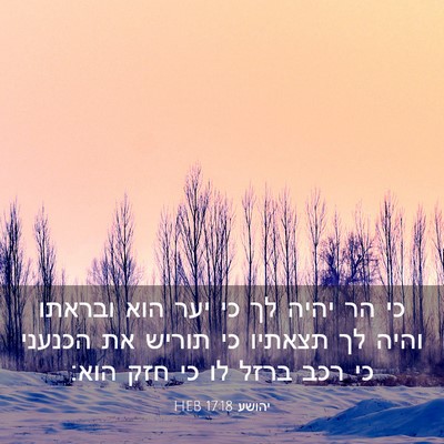 Picture 03 - יהושע 17:18 HEB - כי הר יהיה לך כי יער הוא - Bible Verse Picture
