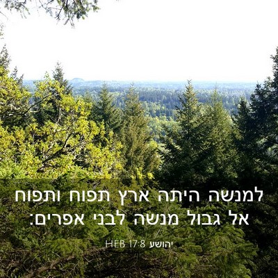 Picture 03 - יהושע 17:8 HEB - למנשה היתה ארץ תפוח ותפוח - Bible Verse Picture