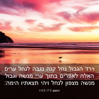 Picture 03 - יהושע 17:9 HEB - וירד הגבול נחל קנה נגבה - Bible Verse Picture