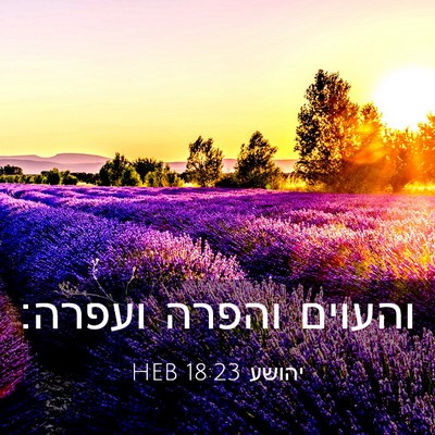 Picture 03 - יהושע 18:23 HEB - והעוים והפרה - Bible Verse Picture