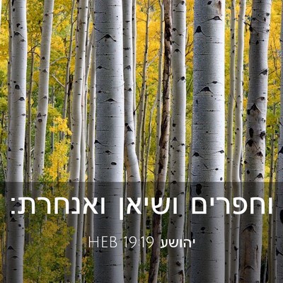 Picture 03 - יהושע 19:19 HEB - וחפרים ושיאן - Bible Verse Picture