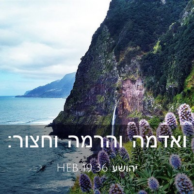 Picture 03 - יהושע 19:36 HEB - ואדמה והרמה - Bible Verse Picture